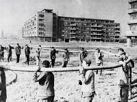 Avenija Marina Držića 1966. godine, polaganje telefonskog kabela